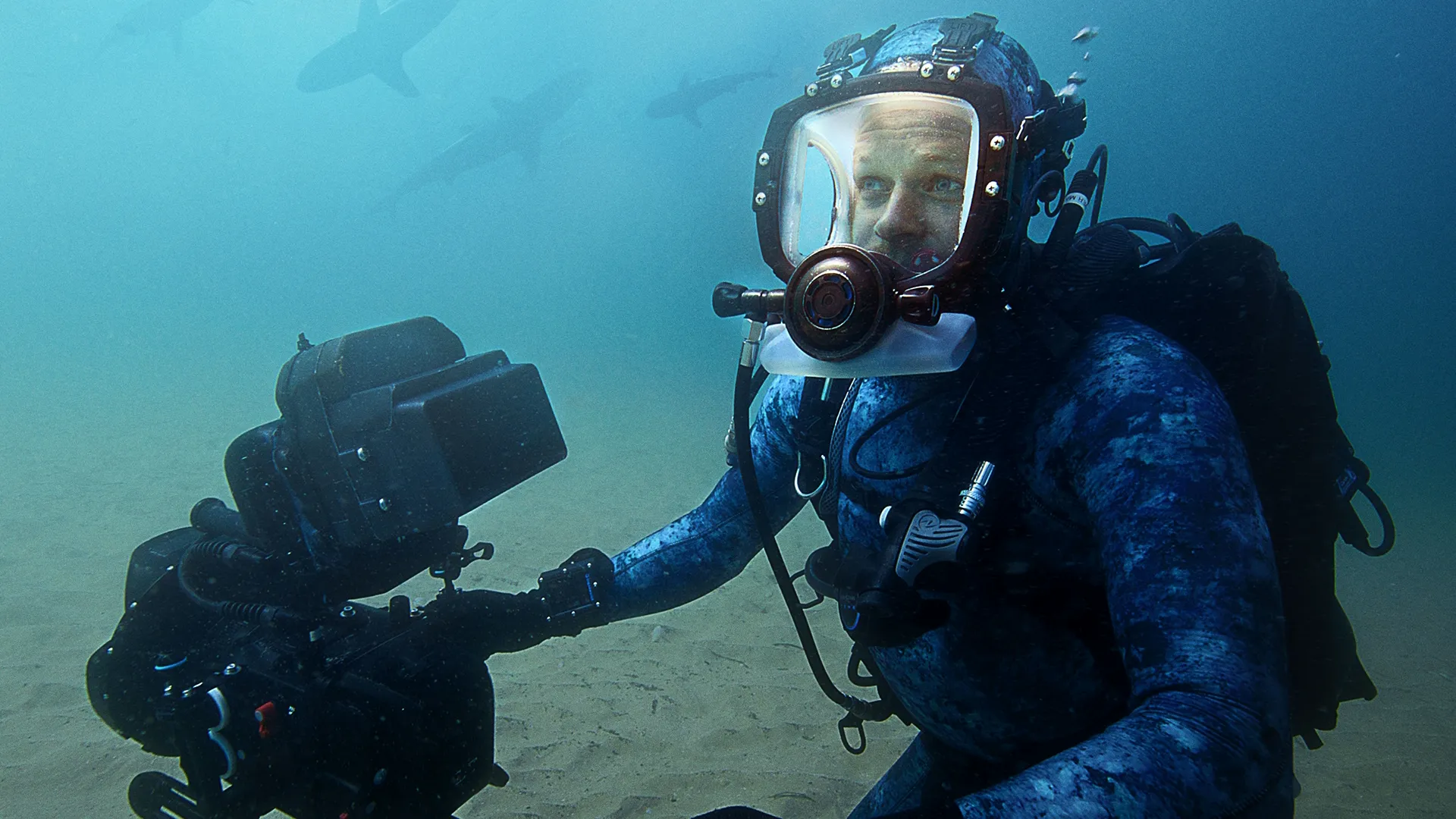 The image features BAFTA-award-winning wildlife filmmaker and National Geographic Explorer Bertie Gregory. This moment was captured while filming the documentary Sharks Up Close with Bertie Gregory. 