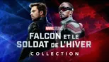 thumbnail - Falcon et le Soldat de l'Hiver