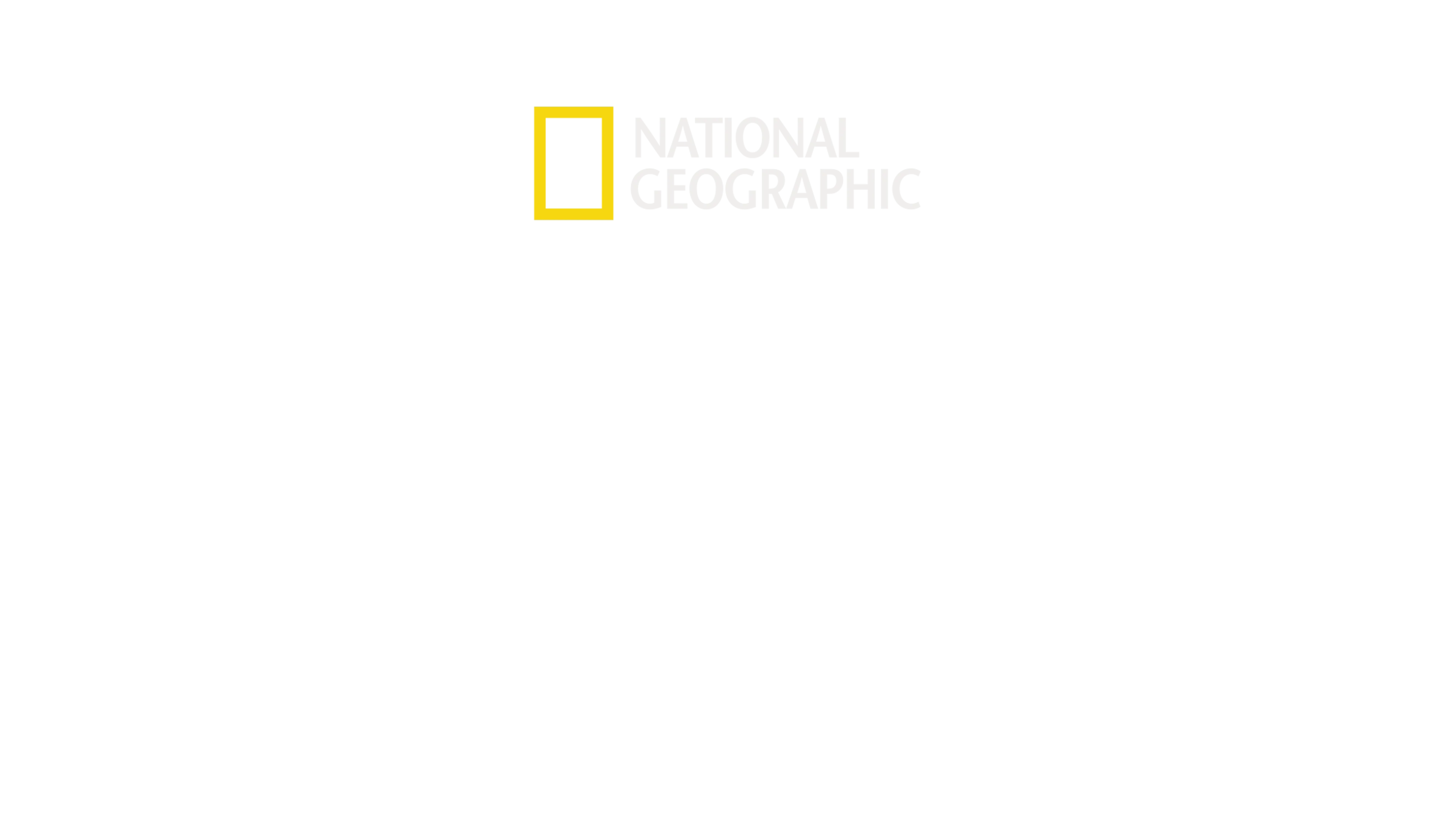Veteriner Dostlar