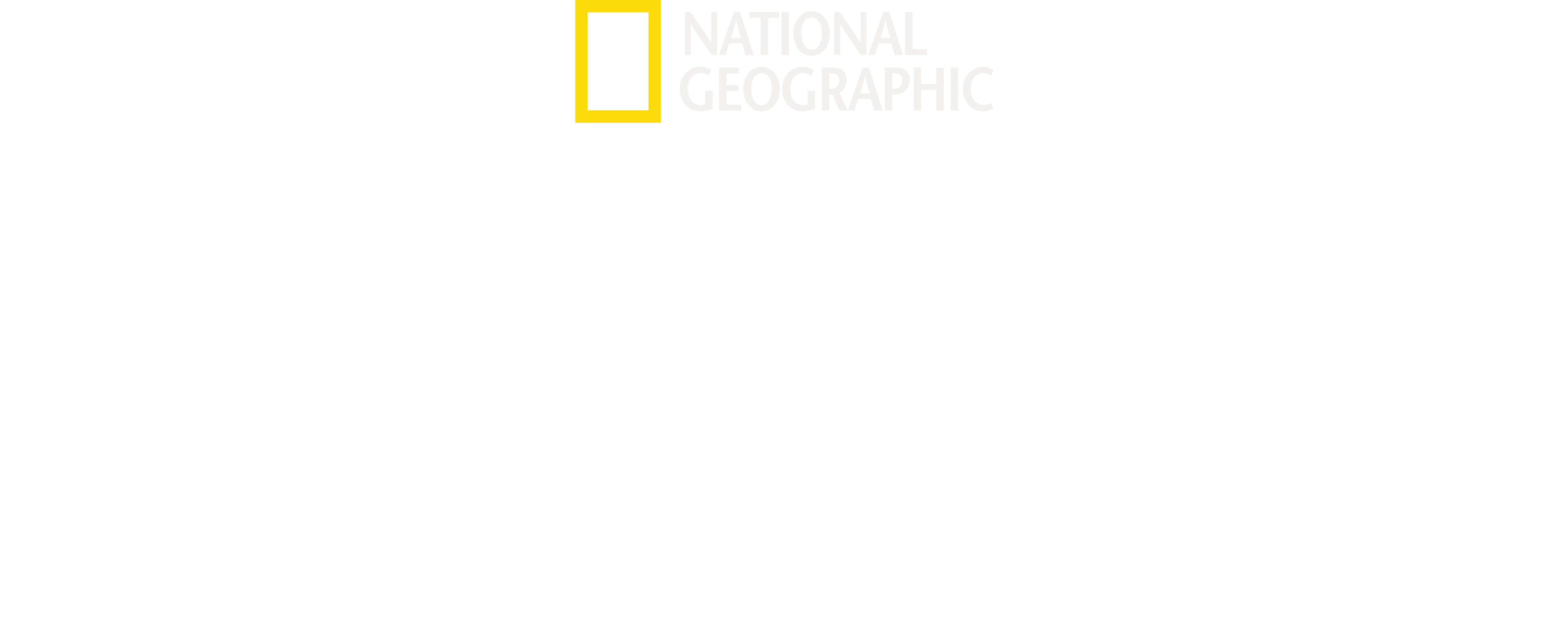 Veteriner Dostlar