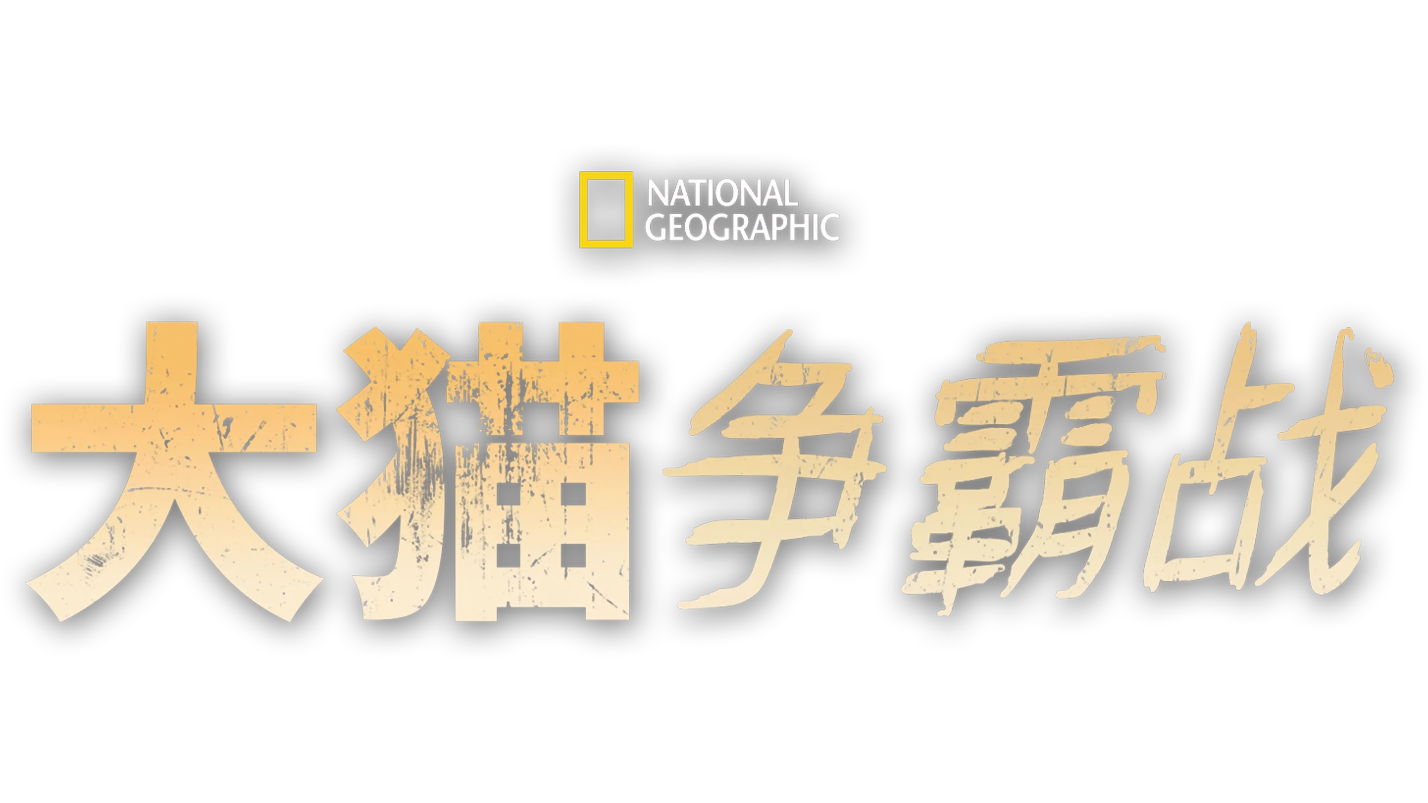 大猫争霸战