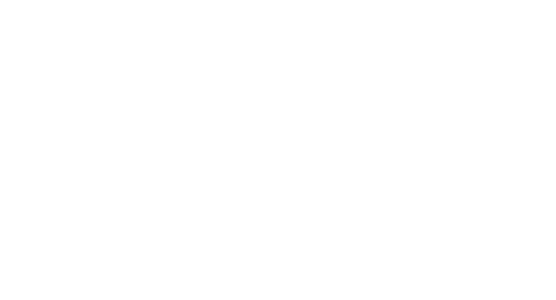 TROPHY WIFE
