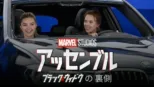 thumbnail - ブラック･ウィドウの裏側