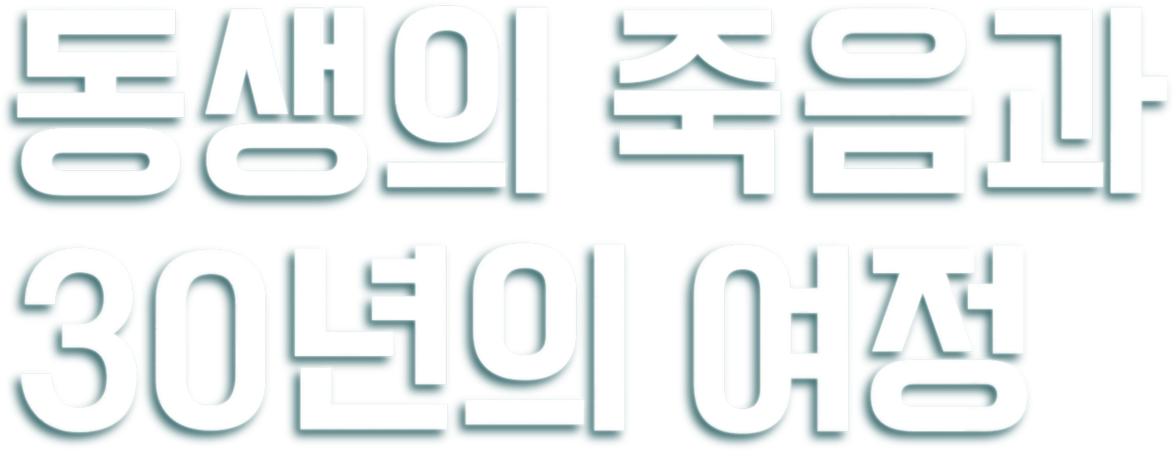 동생의 죽음과 30년의 여정