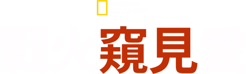 戰火窺見愛