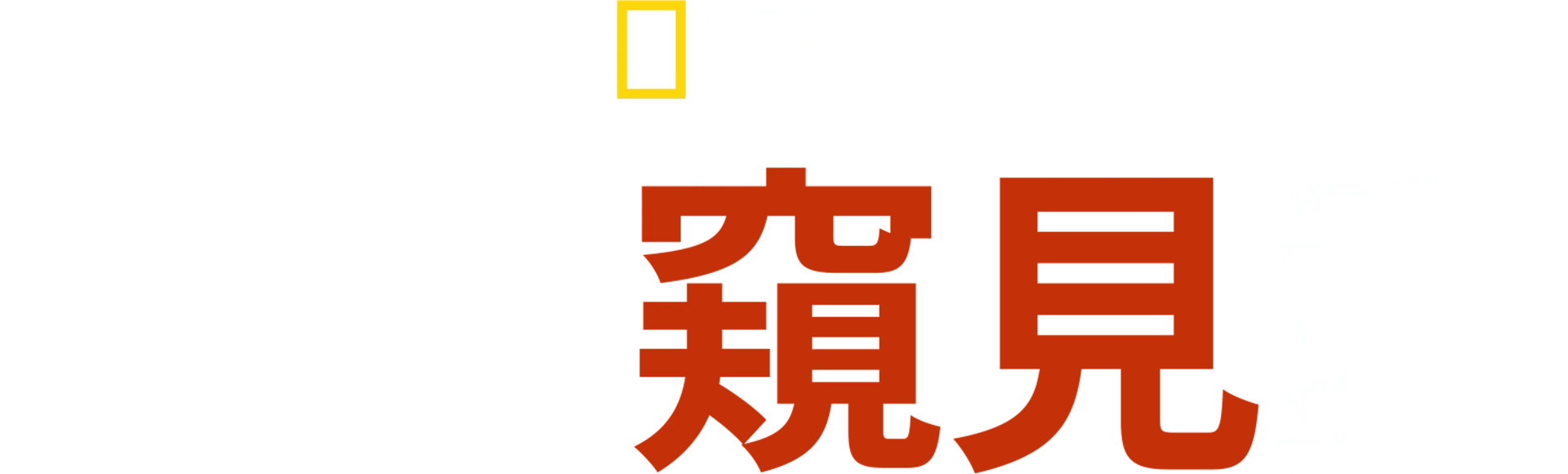 戰火窺見愛