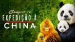 thumbnail - Expedição à China