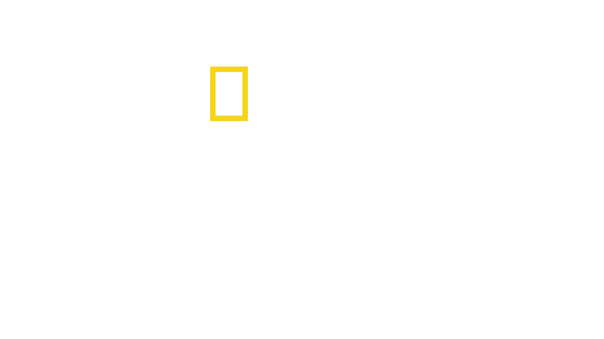 Albert Lin ja kadonneet kaupungit