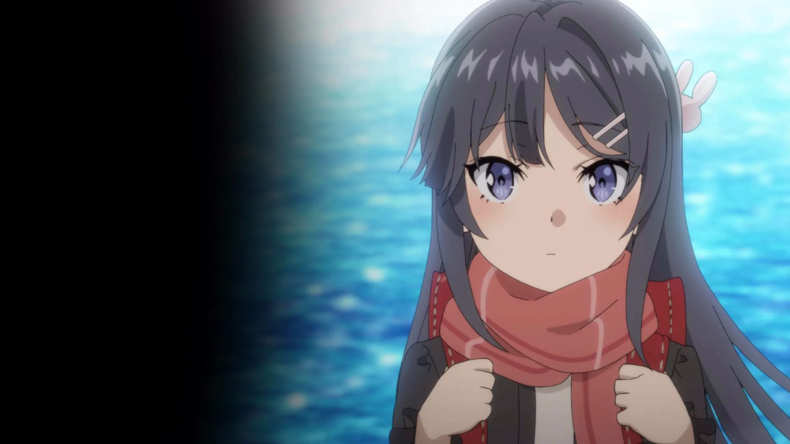 Rascal Does Not Dream of a Knapsack Kid