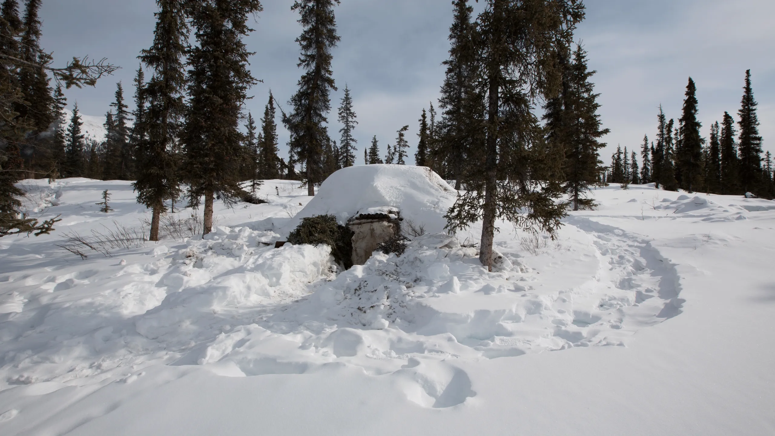thumbnail - S3:E10 Search and Rescue