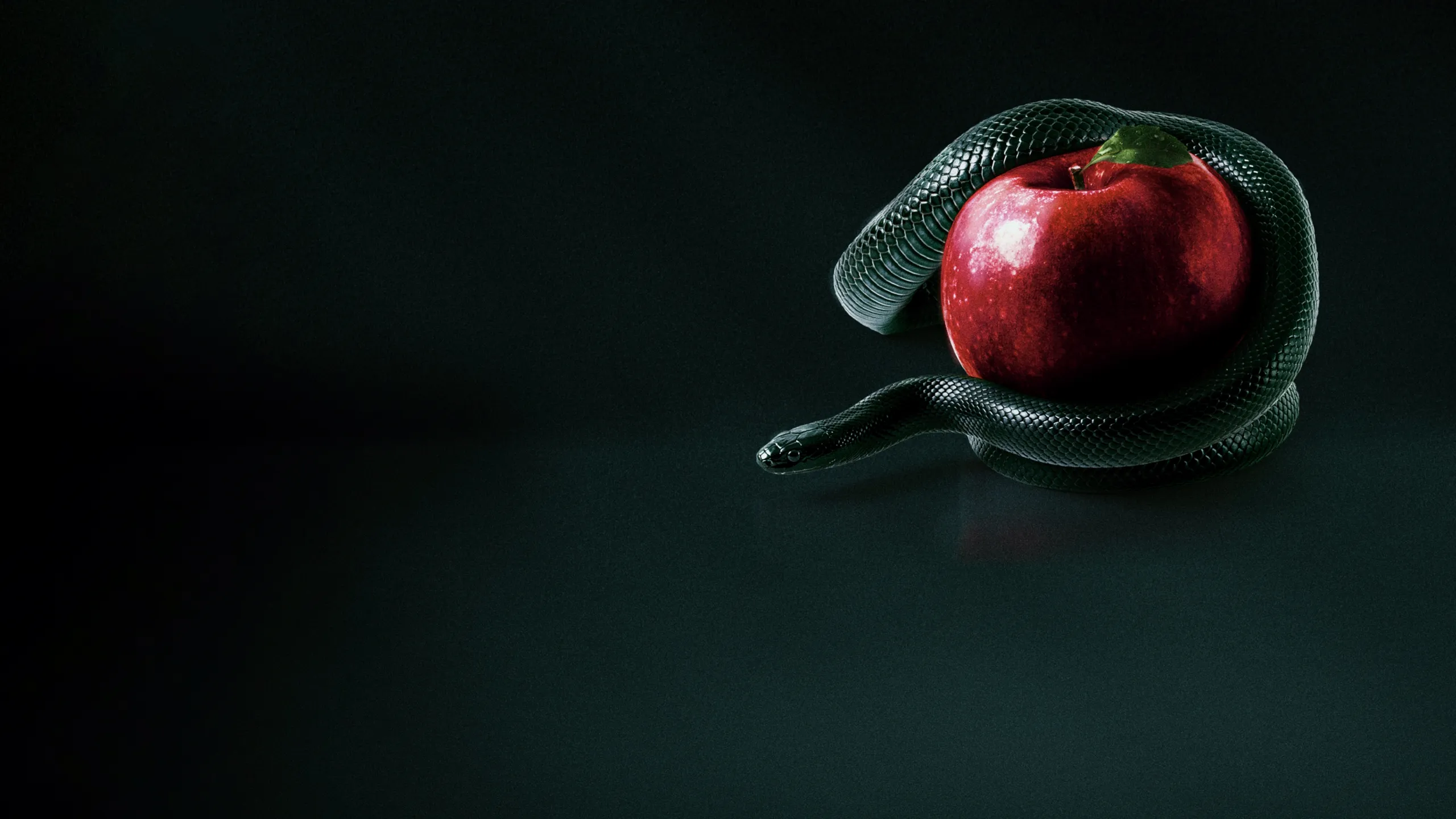 Bible Secrets Revealed