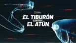 thumbnail - El tiburón contra el atún