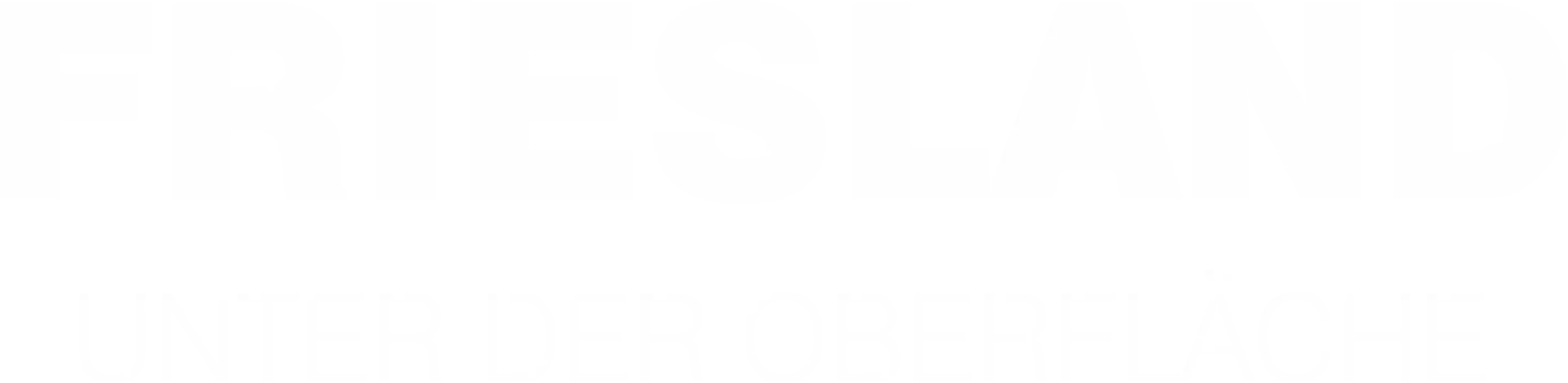 Friesland - Unter der Oberfläche