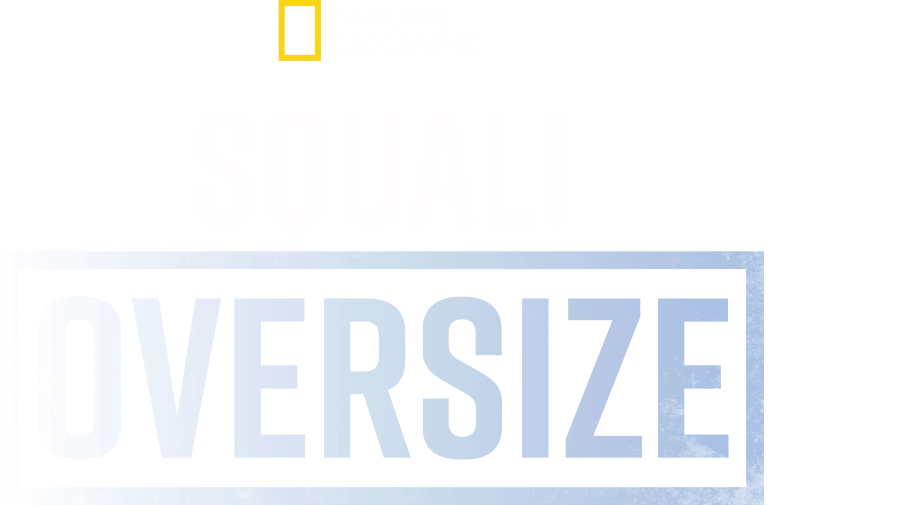 Squali Oversize