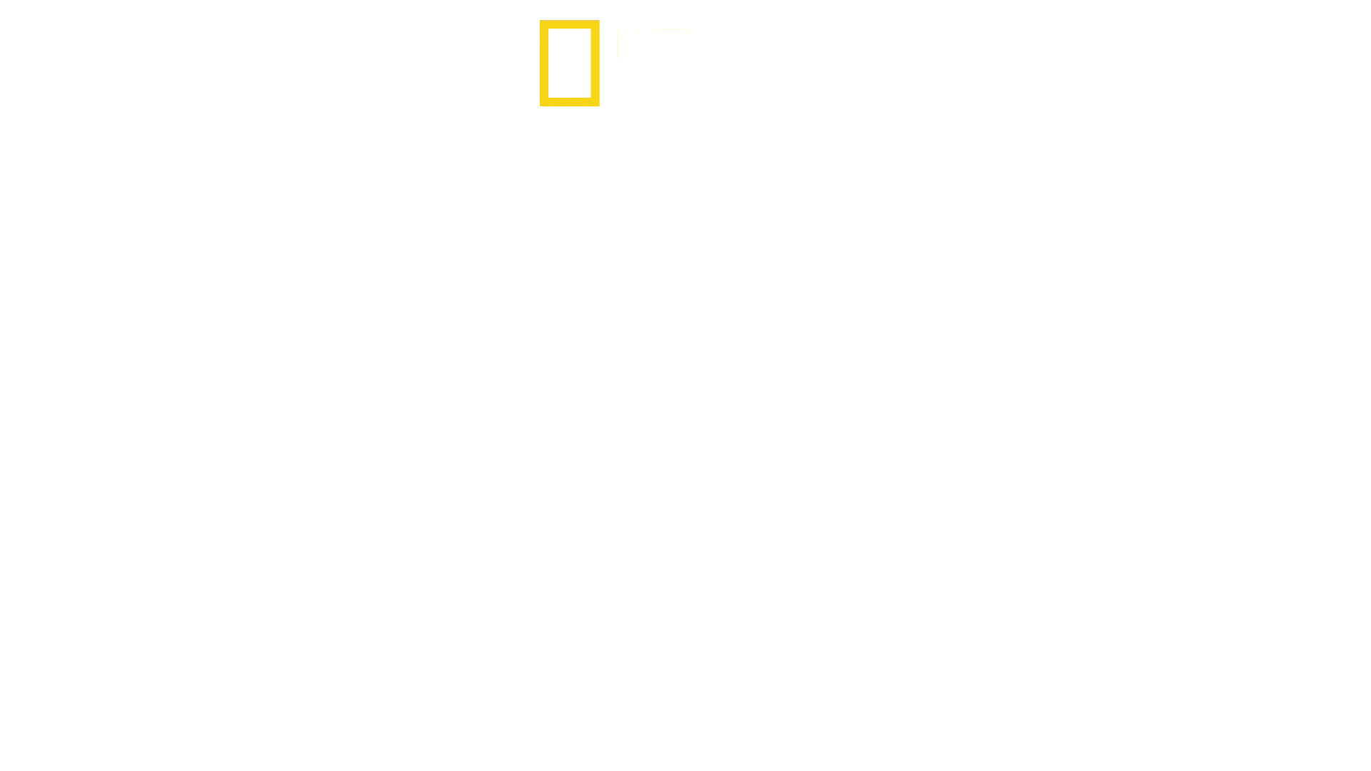 Bermudan kolmion hait