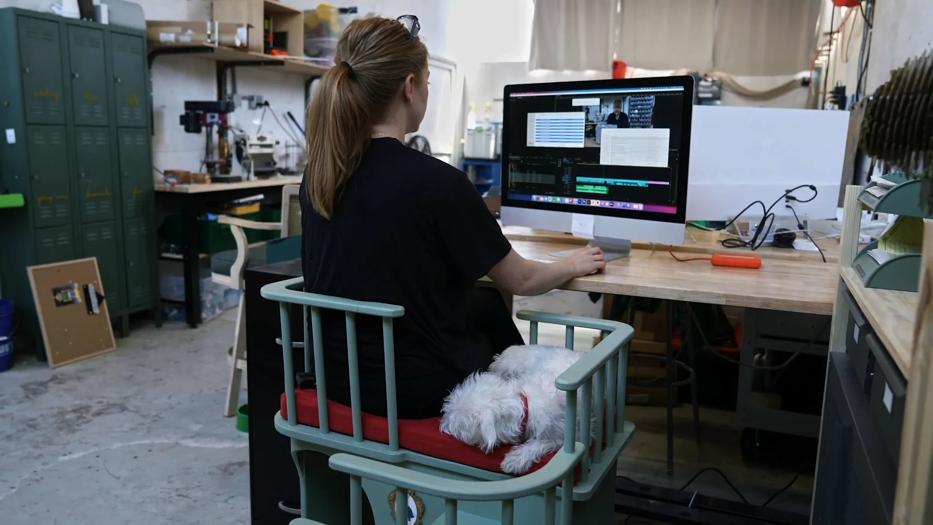 thumbnail - S1:E6 Babes n Pups