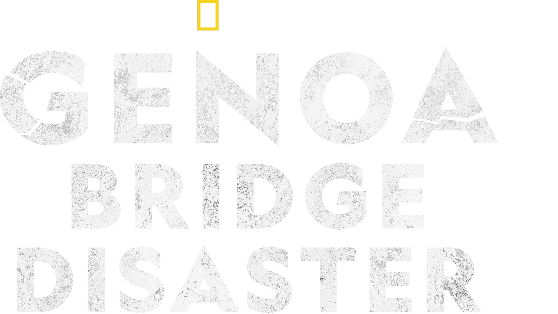 Genoa Bridge Disaster