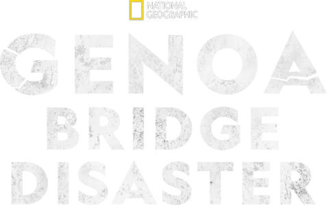 Genoa Bridge Disaster