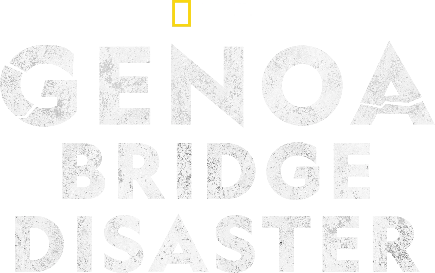 Genoa Bridge Disaster