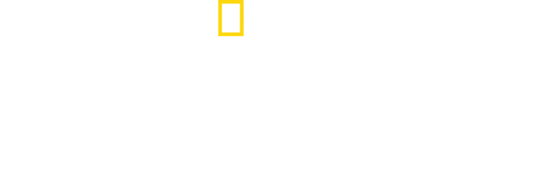 伊莉莎白女王二世