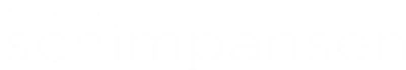 Schimpansen