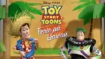 thumbnail - Ferie på Hawaii