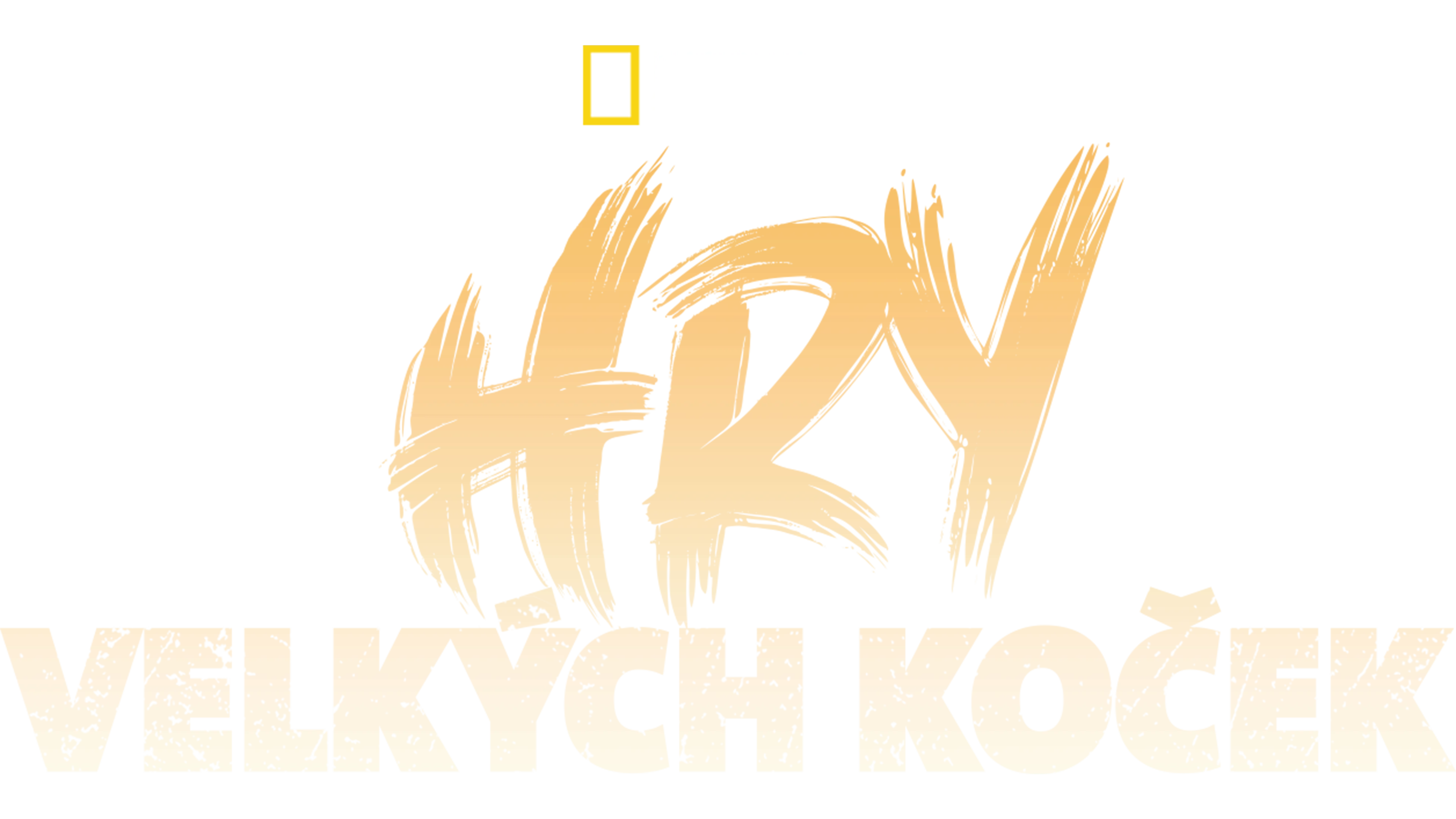 Hry velkých koček