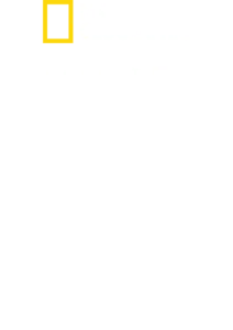 野生に生きる