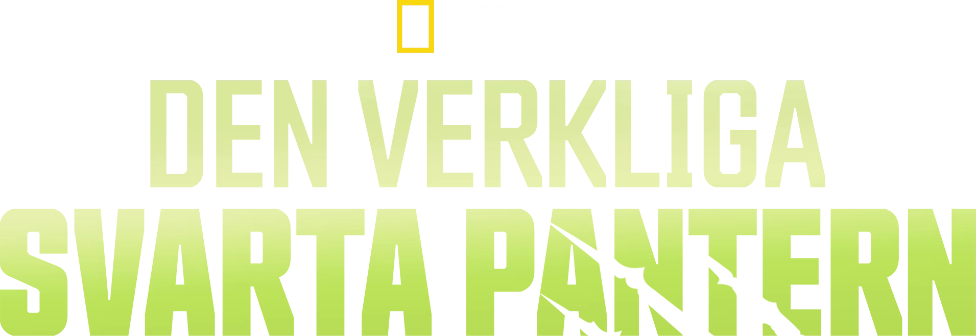 Den verkliga svarta pantern