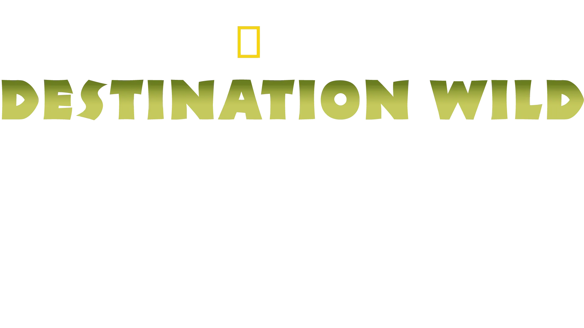 Destination Wild : Inde à l'état sauvage