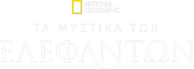 Τα Μυστικά των Ελεφάντων