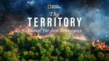 thumbnail - The Territory: Kampf für den Amazonas