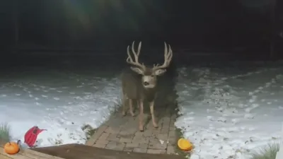 thumbnail - S1:E12 Mom-umental