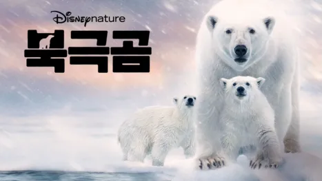 thumbnail - 북극곰
