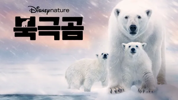 thumbnail - 북극곰