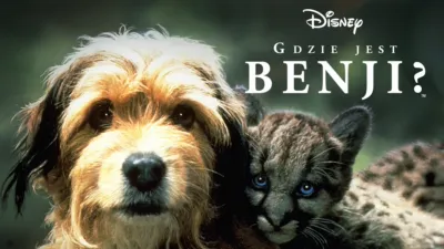thumbnail - Gdzie jest Benji?