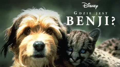 thumbnail - Gdzie jest Benji?