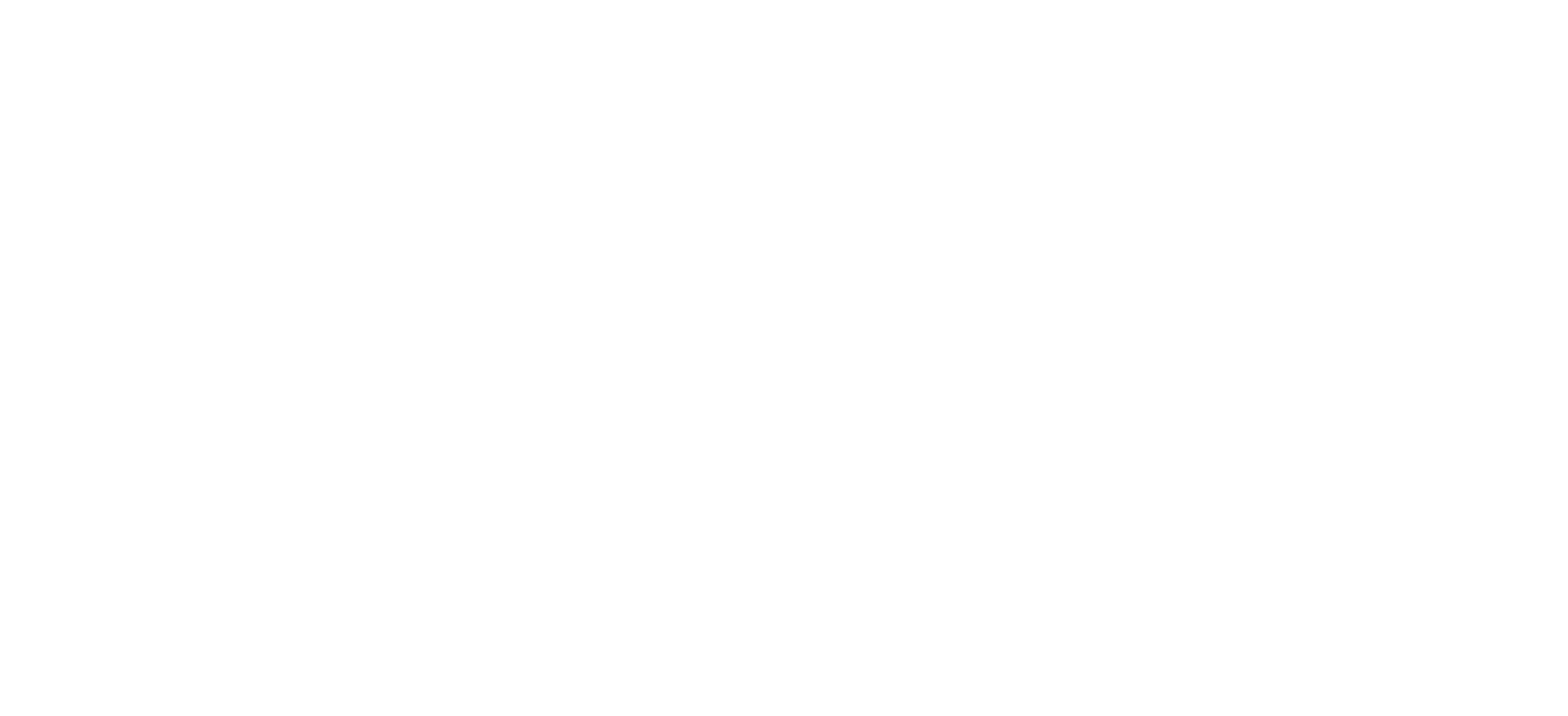 Caro diario