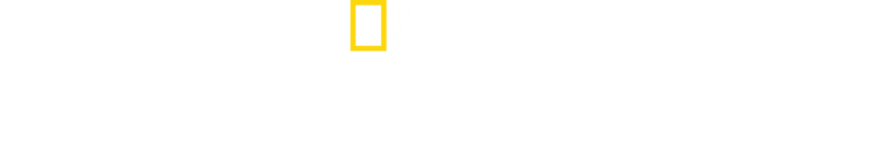 Înainte de potop