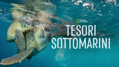 thumbnail - Tesori Sottomarini