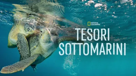thumbnail - Tesori Sottomarini