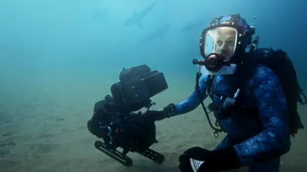 Sharks Up Close with Bertie Gregory