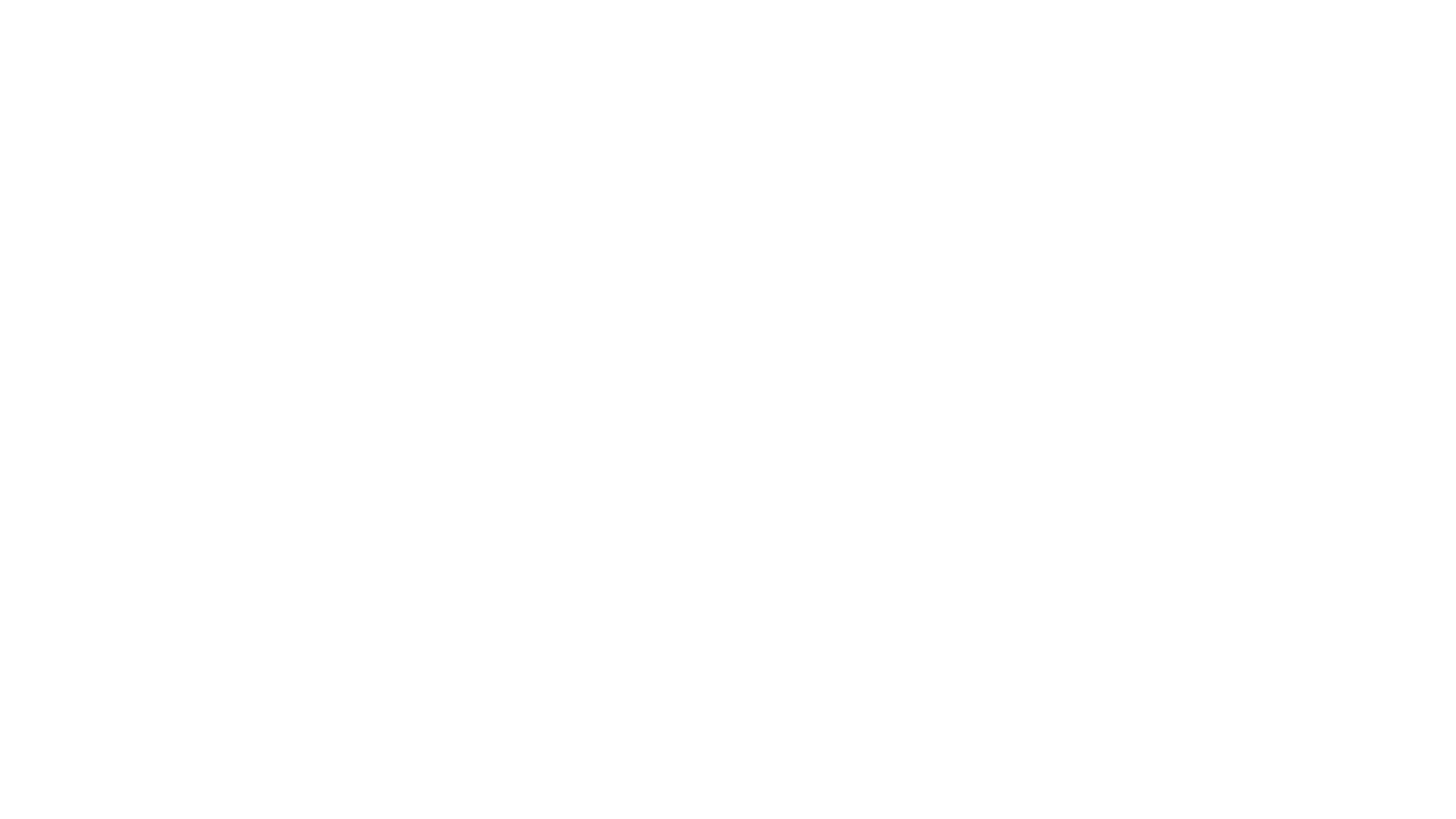 Anita (Director’s Cut)