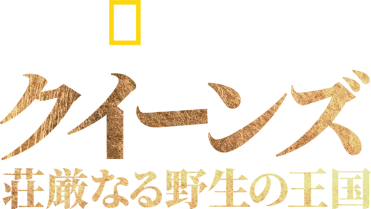 クイーンズ：荘厳なる野生の王国