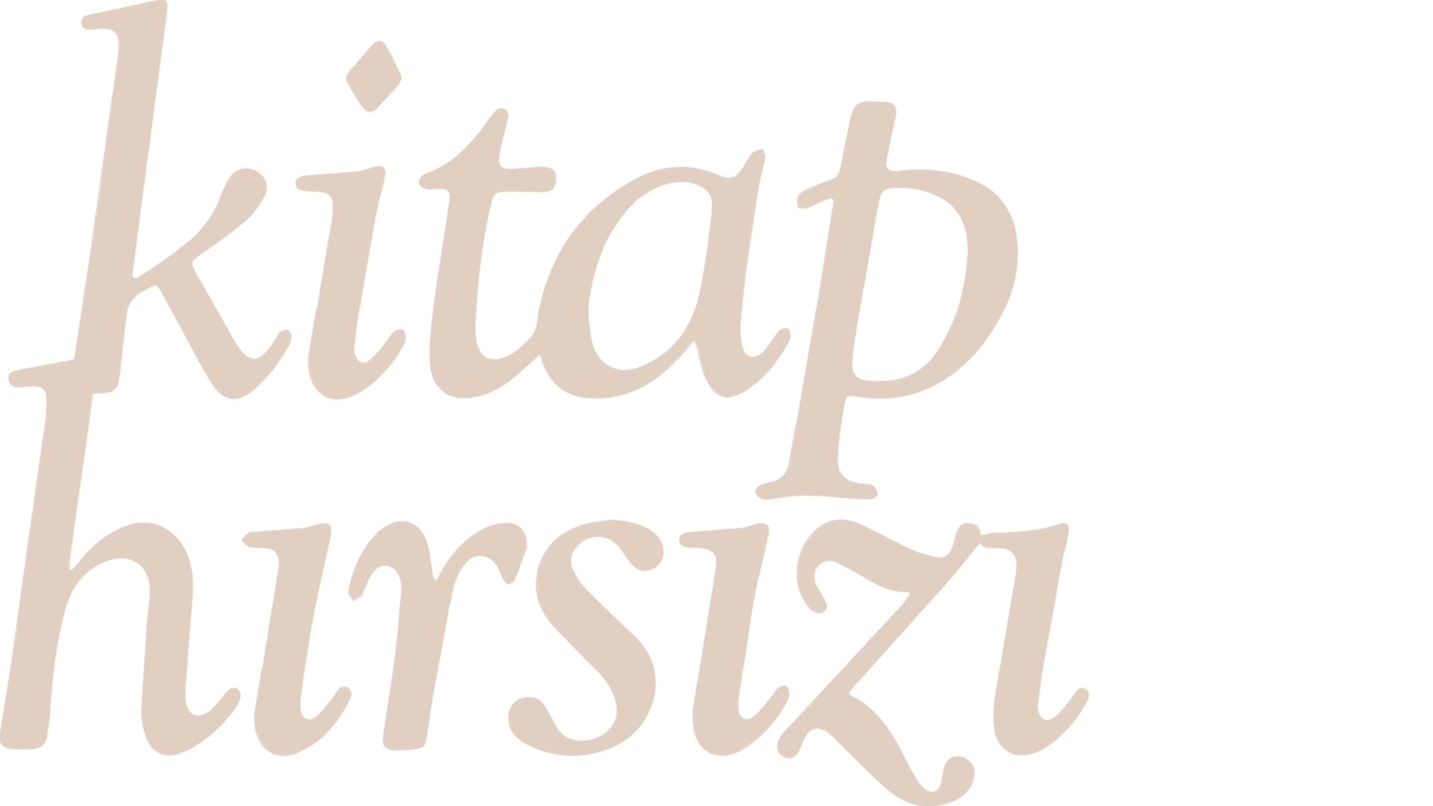 Kitap Hırsızı
