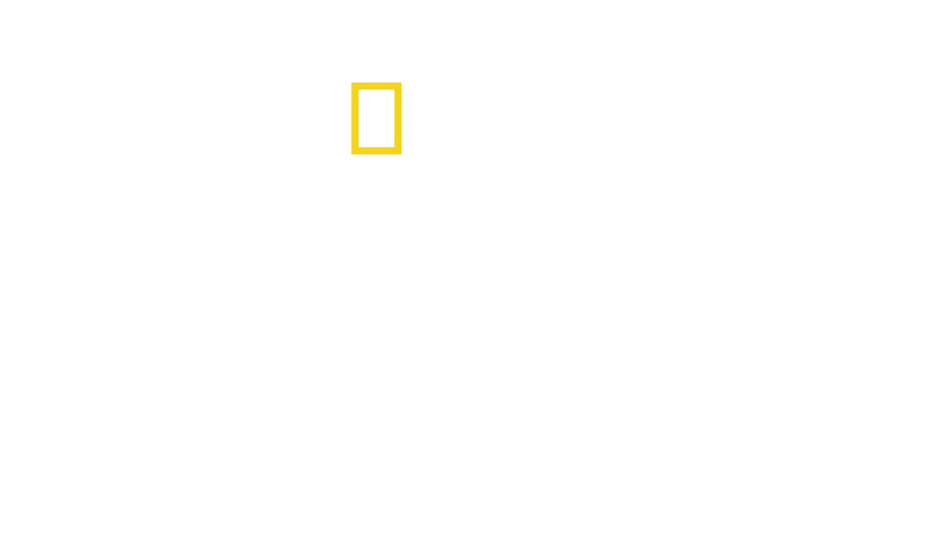 Schwarzmärkte hautnah mit Mariana van Zeller
