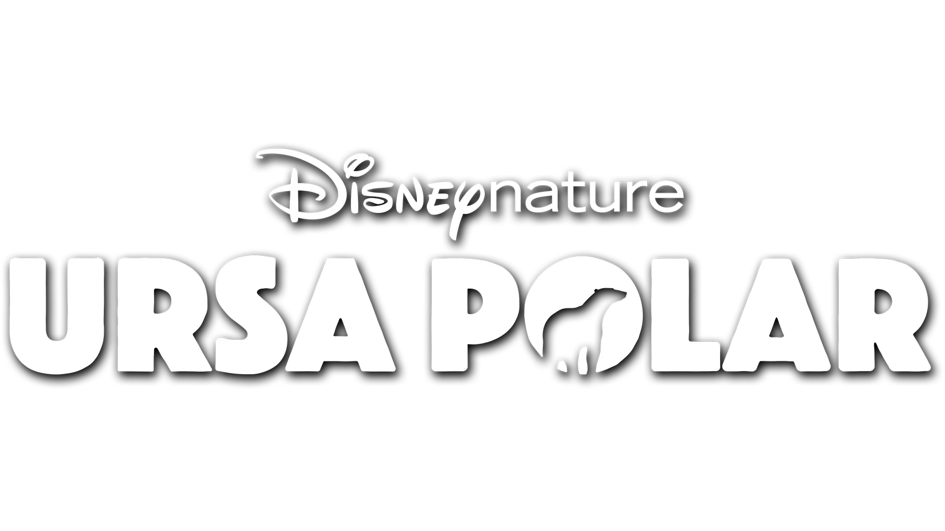 Ursa Polar
