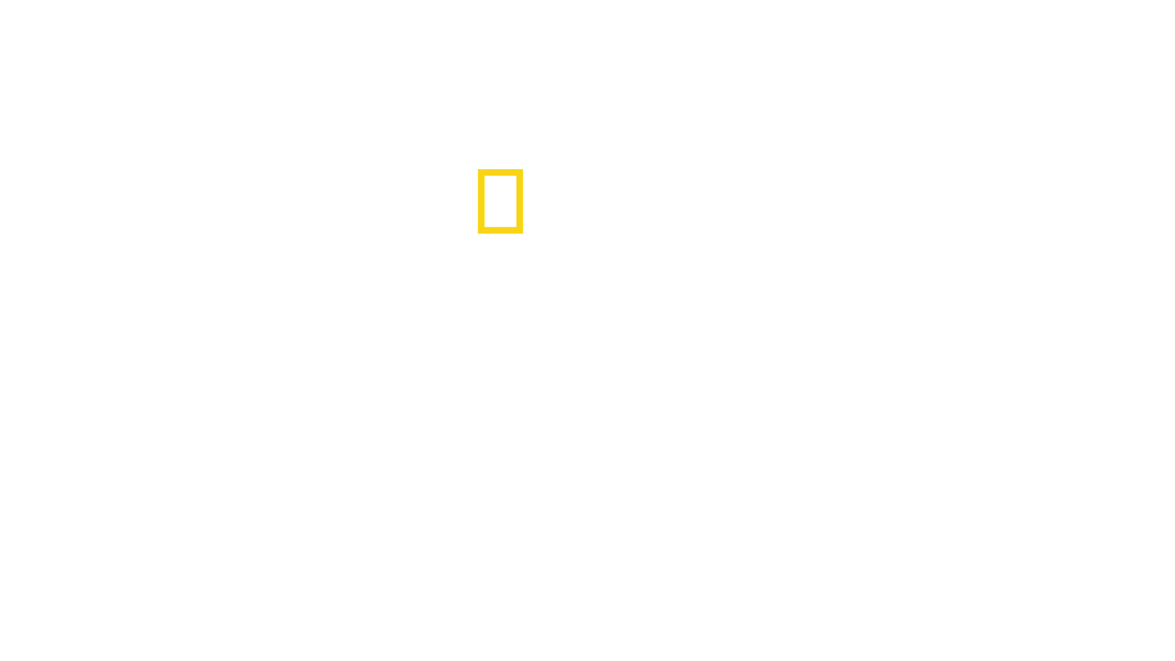 Rebuilding Paradise