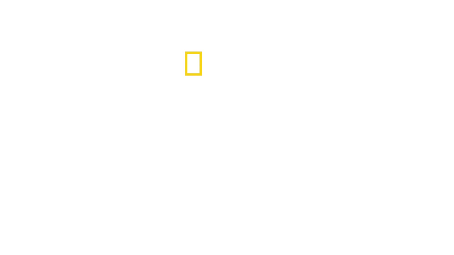 Tajemství tučňáků