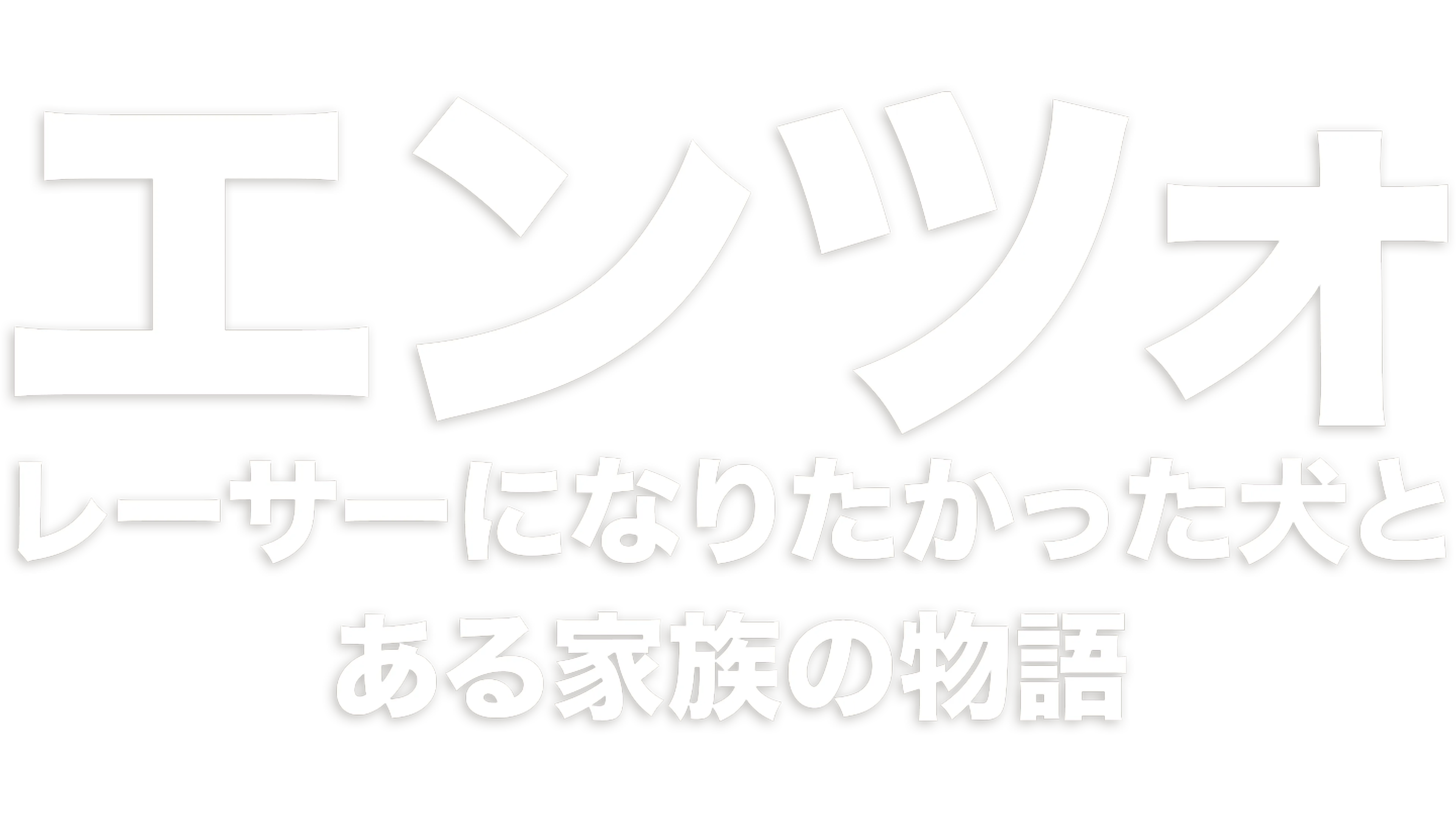 エンツォ　レーサーになりたかった犬とある家族の物語